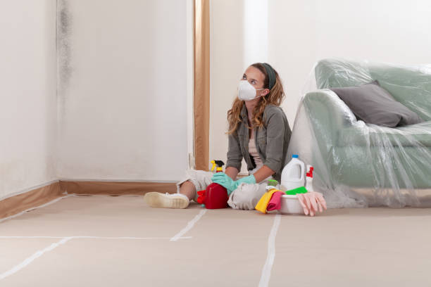 Reliable Bathroom Mold Removal contractor in Maple Grove, MN by WQB Mold Removal